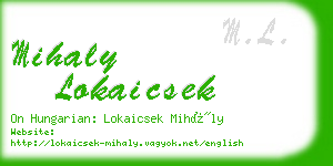 mihaly lokaicsek business card